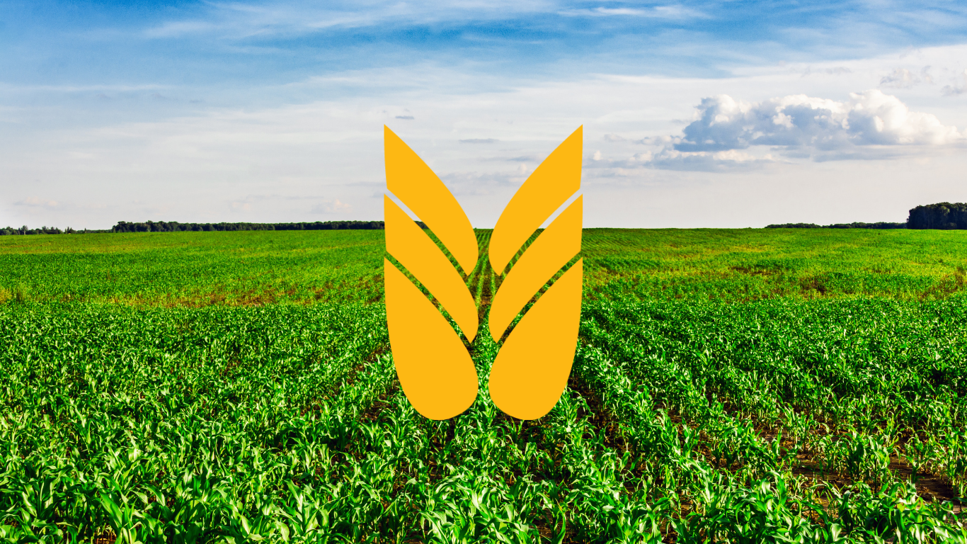 Omlægning af nye økologiske arealer – husk fristen