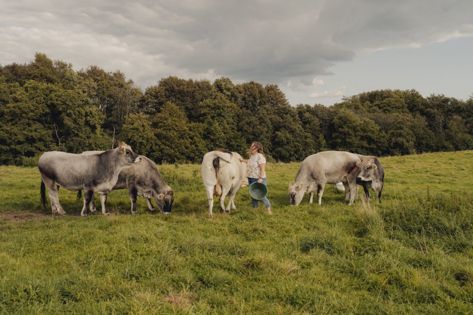 Sydjysk Kødkvæg gentager aflyst nytårsmøde i samarbejde med Familielandbruget LRS-Vejle